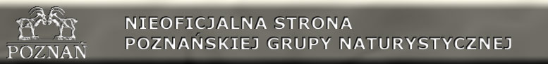 NSPGN - Nieoficjalna Strona Pozna�skiej Grupy Naturystycznej